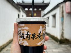 -青果巷历史文化街区