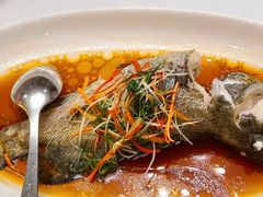 -皇朝尊会(龙之梦大酒店)