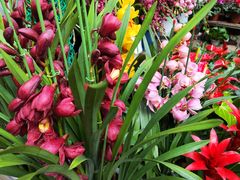 -玉泉综合市场(天山北路店)