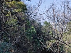 -桃花岭景区