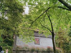 -青城山