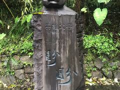 -都江堰中华大熊猫苑