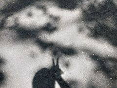 -棒棰岛宾馆景区