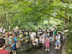 -成都市活水公园