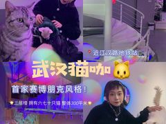 -极木²邸 人与宠物·互动社区