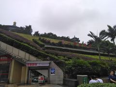 -三峡古玩城(泰古广场店)