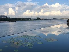 -星河湾半岛酒店·意咖啡西餐厅