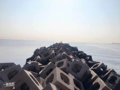 -东疆建设开发纪念公园