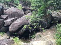 -广州白江湖森林公园