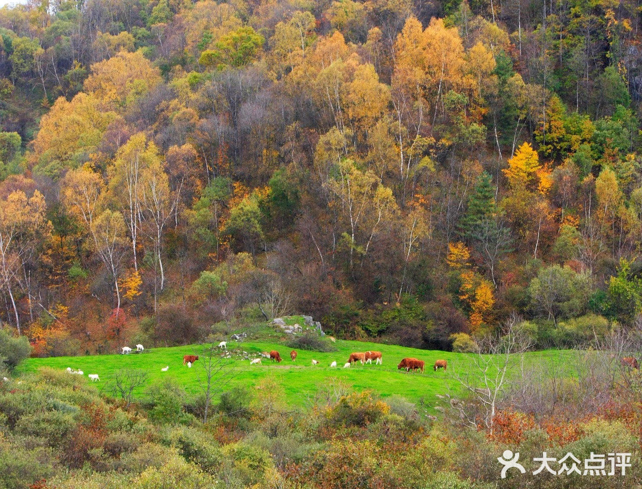 秦岭赏秋 | 这个十一假期,去看秦岭漫山红叶❗