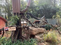 -深圳野生动物园