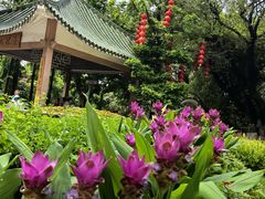 -荔湾湖公园