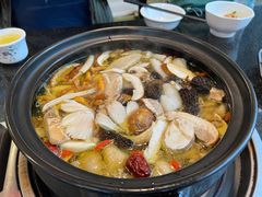 -蘑统田下·野生菌火锅