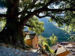 -杨家堂村