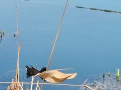 -后海公园