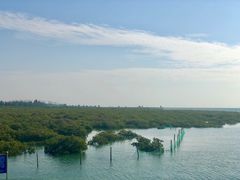 -北海金海湾红树林生态旅游区