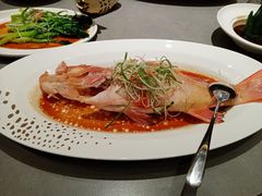 石斑鱼-神洲四海大酒楼(王府井澳门中心店)