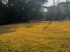 -上海神旺大酒店