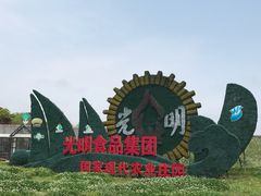 -上海都市菜园