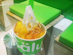 -Salud撒露欧洲冻酸奶(蓝色港湾店)