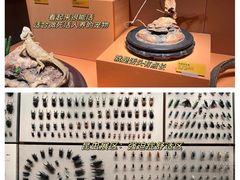 -天津自然博物馆