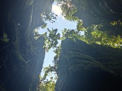 -梭布垭石林景区