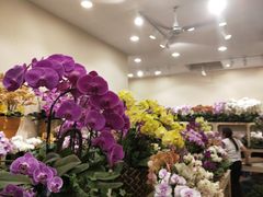 -双季花艺园艺市场(浦东店)