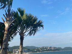 -大梅沙海滨公园