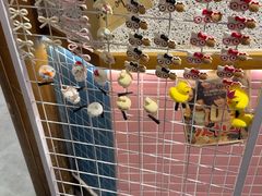 -姜胖胖无限自助烤肉(弹子石店)