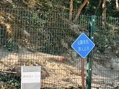 -大觉寺-停车场