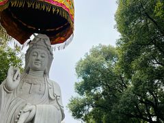 -太子山公园(园东路)