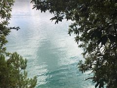 -广州市流溪河国家森林公园