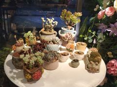 -花十悦·鲜花咖啡餐厅(振业城一期店)
