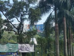 -大埔公路-马料水段香港中文大学(公交站)