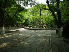 -山东大学(趵突泉校区)