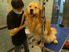 -PETKIT小佩宠物(古北店)