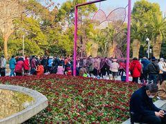 -人民公园-相亲角