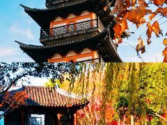 -秋霞圃