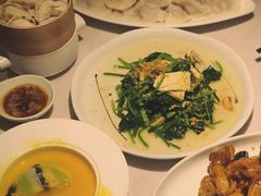西红柿牛肉水饺-船歌·鱼水饺青岛菜(闽江二路店)