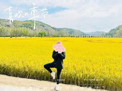 -南泥湾风景区