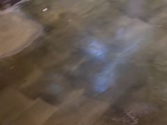 -长藤鬼校(龙翔店)