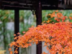 -无锡惠山寺