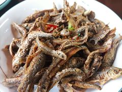 -芦茨金富饭庄·25年老字号·专做稻草鸡