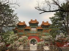 -普陀宗乘之庙