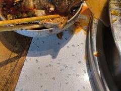 -肖肖酸萝卜鱼火锅(总店)