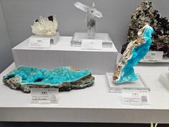 -湖南省地质博物馆