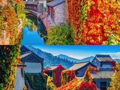 -沉浸北京·团建旅行·密室剧本杀·年会会议轰趴拓展