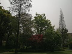 景点-宋庆龄陵园
