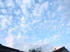 -四川农业大学(雅安校区)