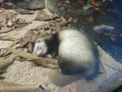 -泉州海丝野生动物世界